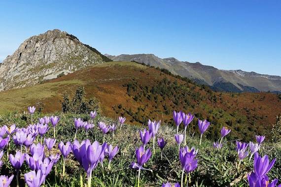 Col-de-Berbeillet