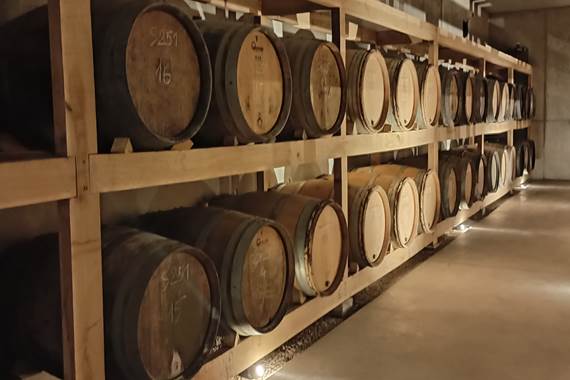 Nouvelles caves enterrées