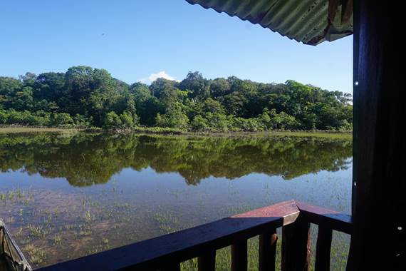 Carbet "Piédanlo"