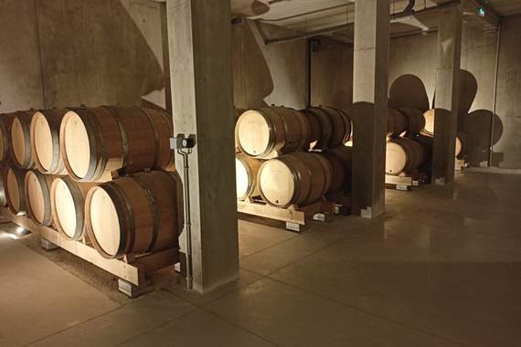 Nouvelles caves2