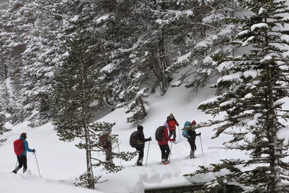 Randonnée à raquettes à Cauterets Pont d'Espagne