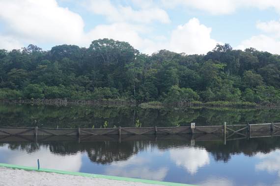 La Mangrove