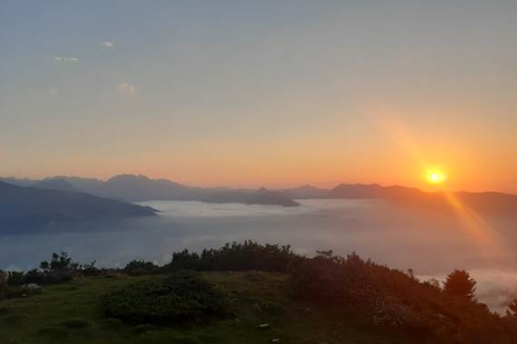 Resized_20200729_211223