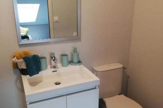 salle de bain  bleuets