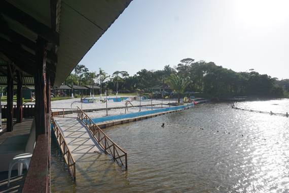 La Mangrove