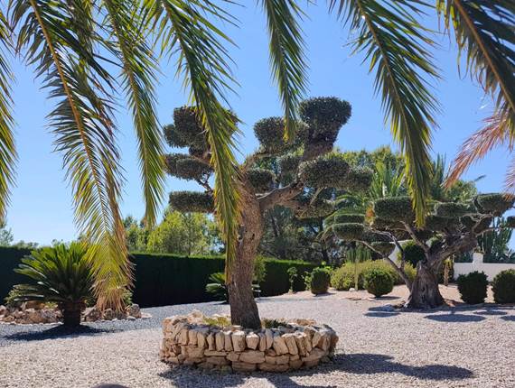 Jardin