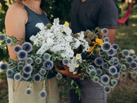 bouquet-fleurs-sechees-francaises-terralya