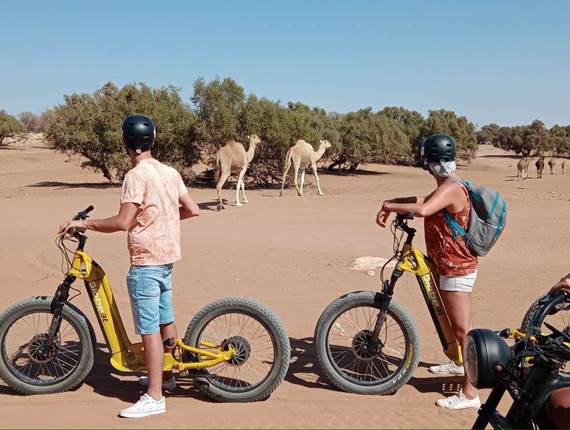 420c4f4e-56b3-438a-86c8-d7ebfb176d63