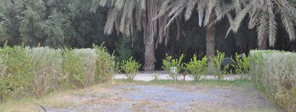 Camping sous les palmiers bleus - Ouijjane - Emplacement