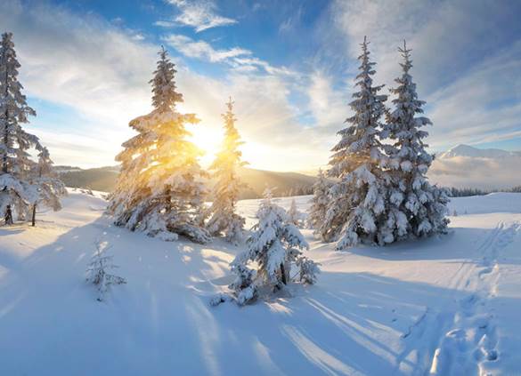 paysage d'hiver dans les vosges