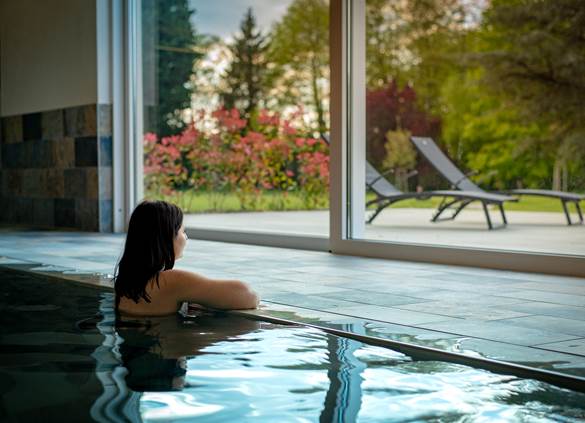gites-luxe-alsace-nord-karlsmuhle-espace-bien-etre-piscine-sauna-spa-21