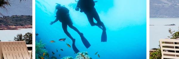 Plongée sous marine à Sagone Corse
