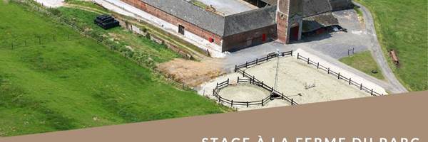 Stage d'Hiver à la Ferme