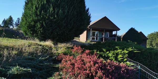 Le chalet Betula