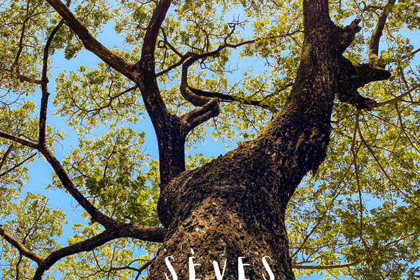 Couverture définitive de Sèves de Liberté_imprimé