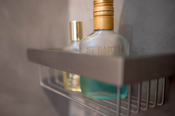 <img src="chemin-de-l-image.jpg" alt="Salle de bain de la suite Grenade avec douche à l’italienne, hôtel de charme La Maison de Clémentine, Fort-de-France, Martinique" />