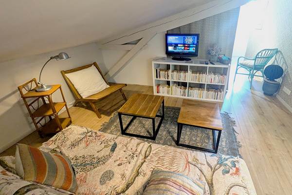 salon TV NETFLIX 16 Bis gite hotel-marssac-albi-gaillac