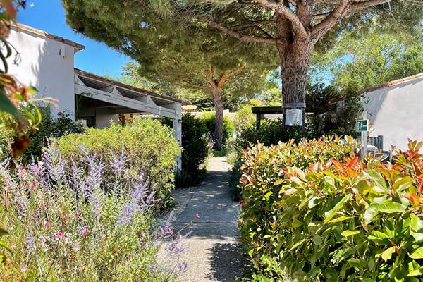 Jardin côté Piscine