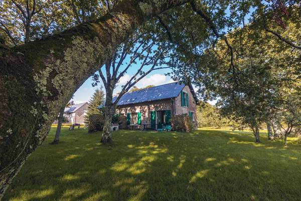 Lilas-des-indes-jardin