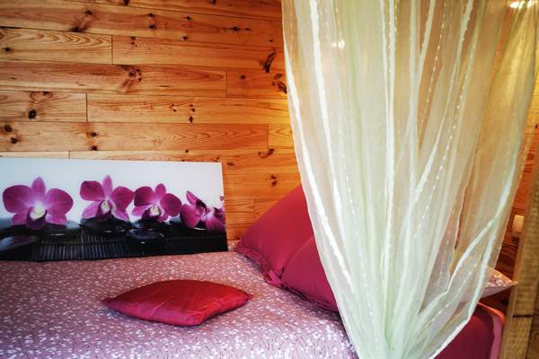 les bois de saint Auvent coin nuit