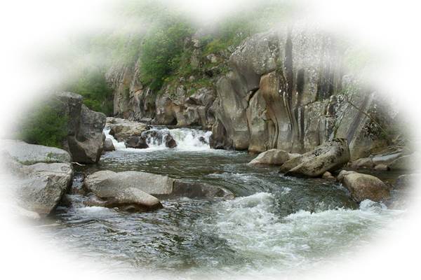 Des torrents pour les amateurs de pêche à la truite