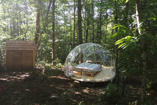 les bois de saint Auvent bulle dans les bois