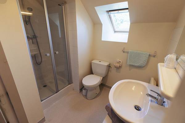 Lilas-des-indes_salle-deau