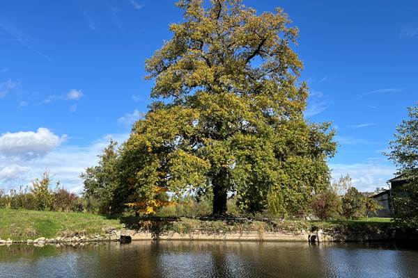un espace naturel préservé