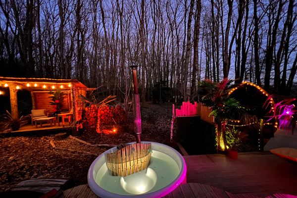 sauna et bain nordique