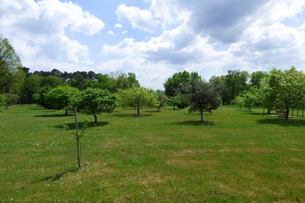 BRITAVIT Truffière en été