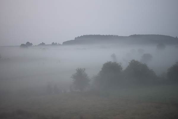 Brouillard automnal