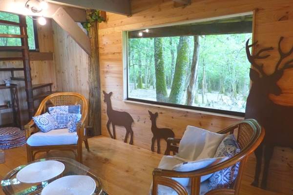 salon du bas : grande vitre pour observer les cerfs et biches