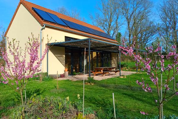 Pêchers du jardin en fleurs au printemps