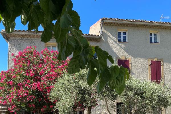 photo_1 (8)