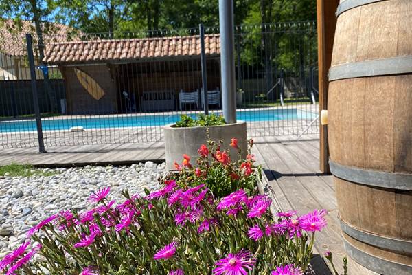 Fleurs et vue piscine