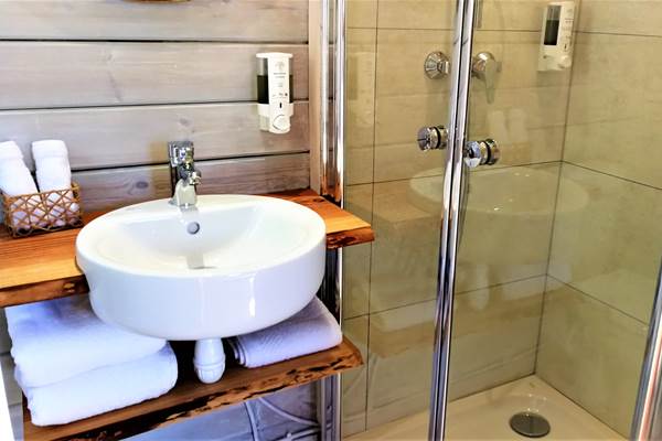 Salle d'eau grande douche