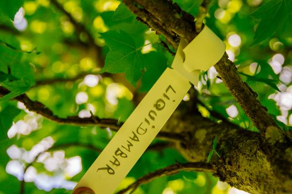 puyregonde-dordogne-tourisme-les-conteurs-81