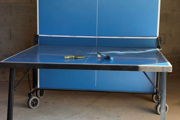 Table de ping pong