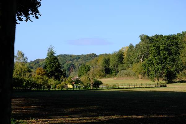 Bois des Dames sortie du village (Copy)