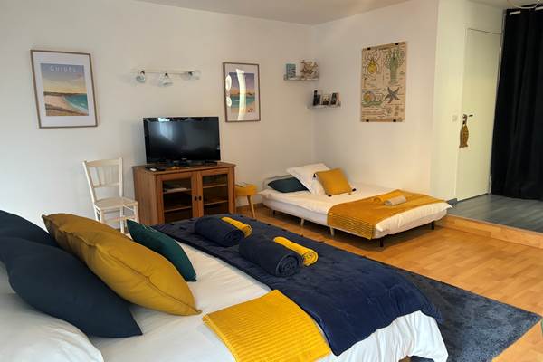 Pièce principale avec canapé lit déplié