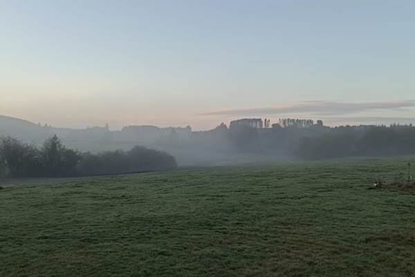 Brume matinale