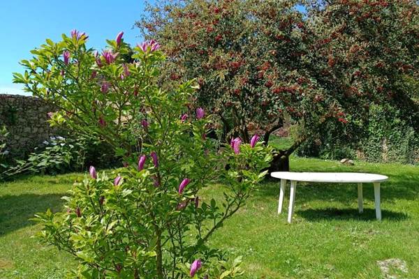 Magniolia au Jardin intérieur