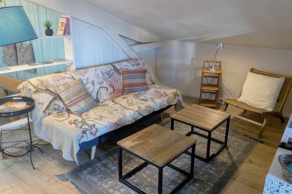 salon TV NETFLIX 16 Bis gite hotel-albi