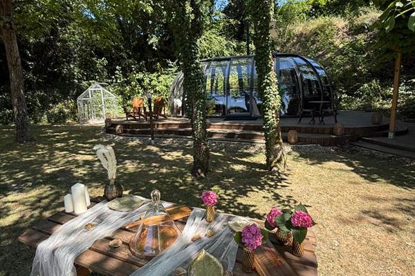 8493a47e-251e-4aa7-8739-a60ca664c1b6