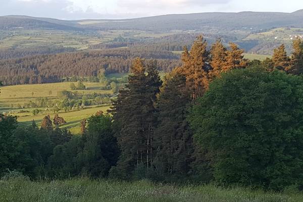 Des forêts: pensez "sylvothérapie" !