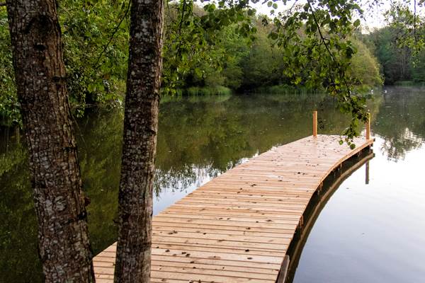 Ponton sur le grand étang (c) Michel Dartenset