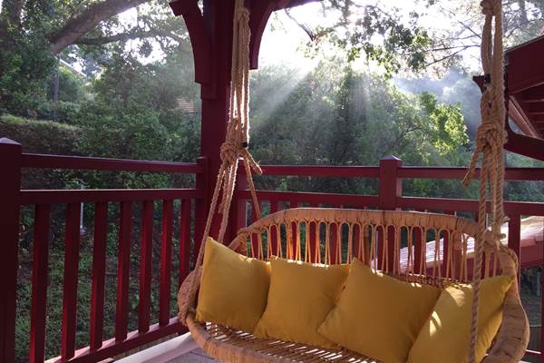 Environnement boisé sans vis à vis