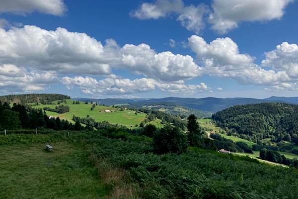 Roz - Autour de la maison