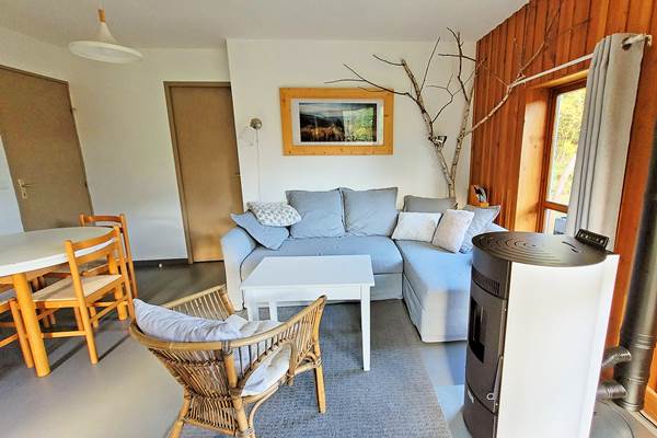 salon-chalet-granit-poele-2