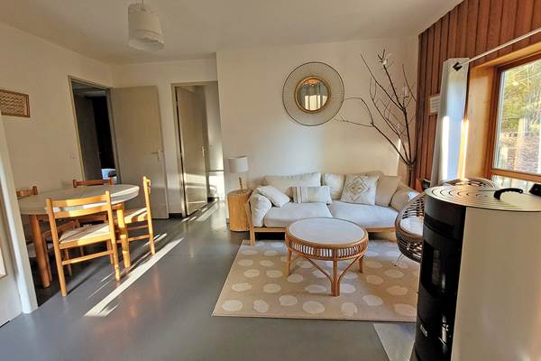 salon-chalet-pelardon-poele-2